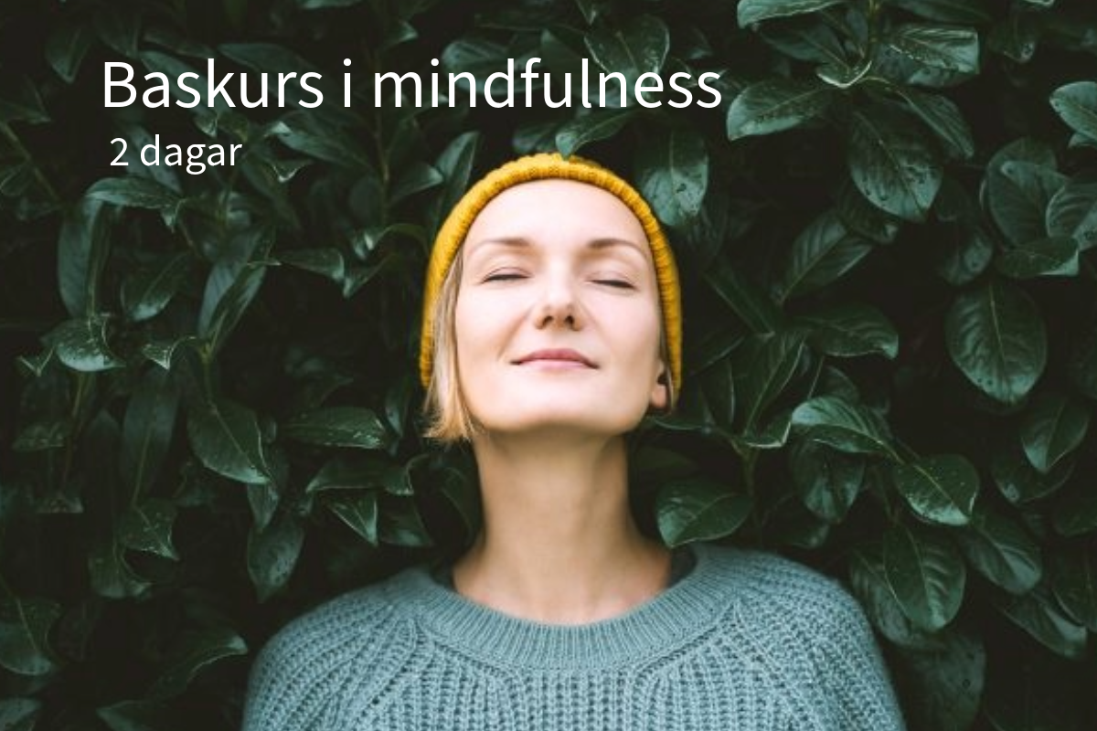 Baskurs i mindfulness