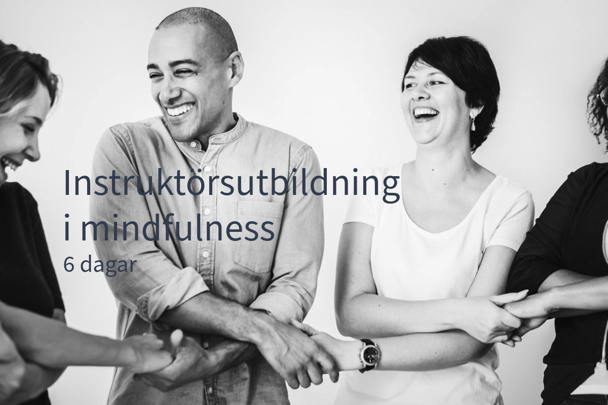 Instruktörsutbildning i mindfulness Sverigehälsan