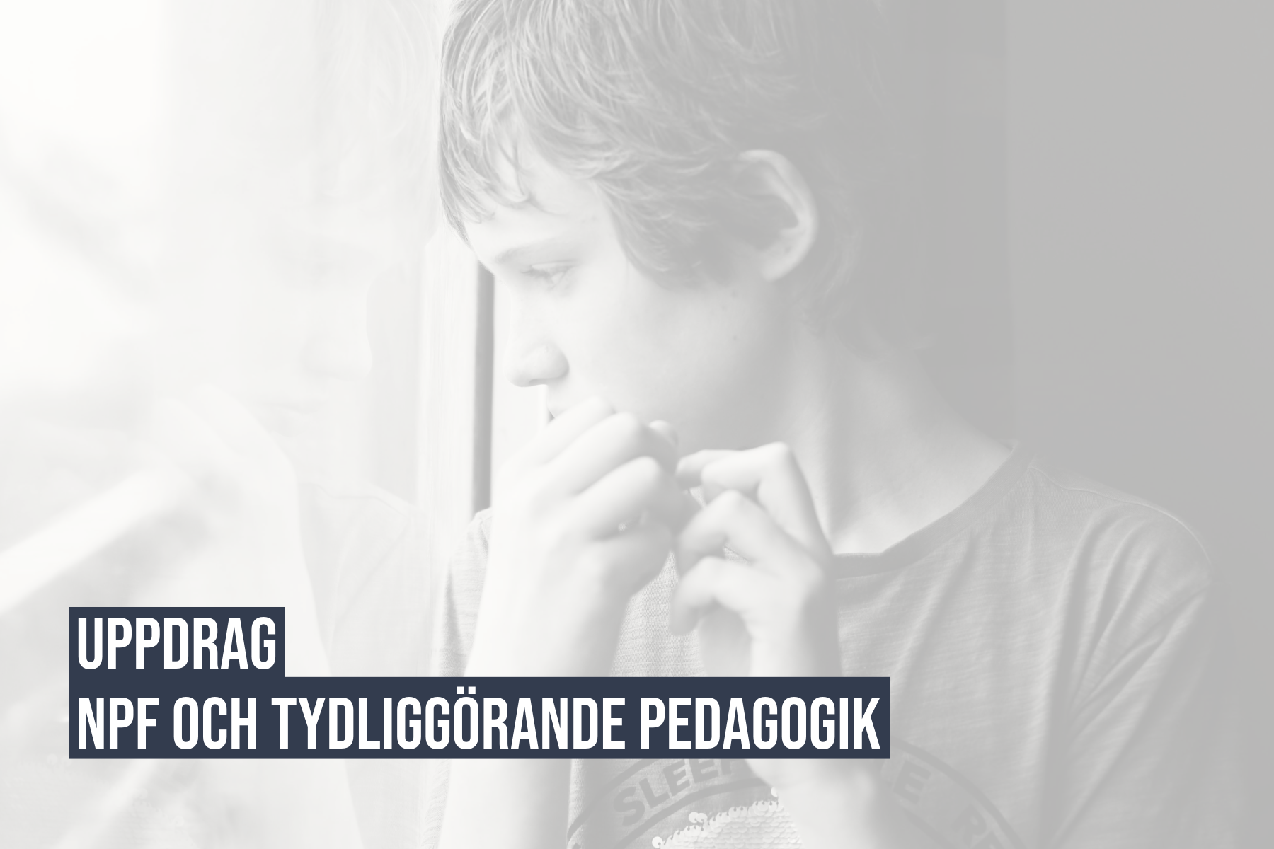 NPF och tydliggörande pedagogik - Falkenbergs kommun - Sverigehälsan