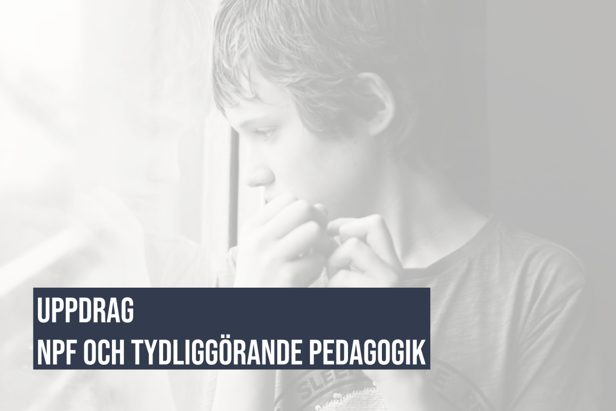 NPF-uppdrag-Falkenberg Uppdragsutbildning NPF och tydliggörande pedagogik - Sverigehälsan