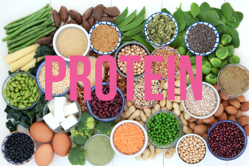 Kostrådgivare med KBT-kompetens - vecka 2, protein